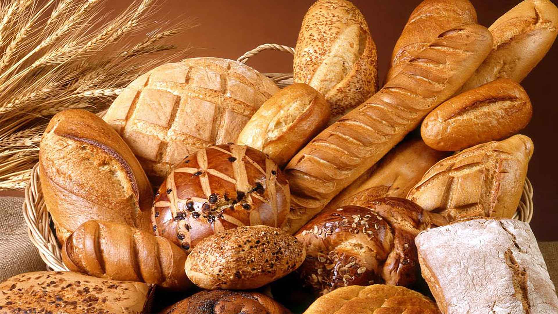Khalisa Bakery